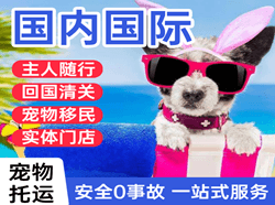 福成空运公司国际宠物托运 【国